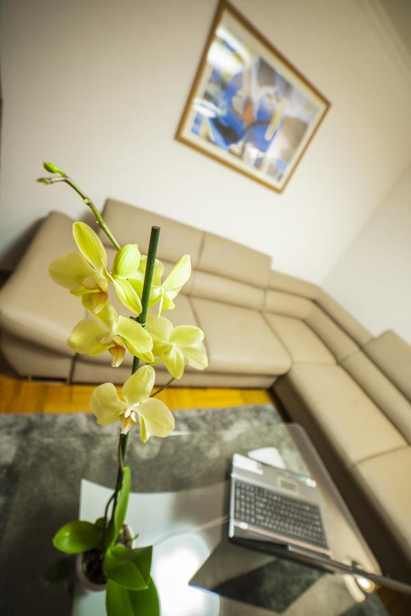 Business Class Apartment Kluž Exteriér fotografie