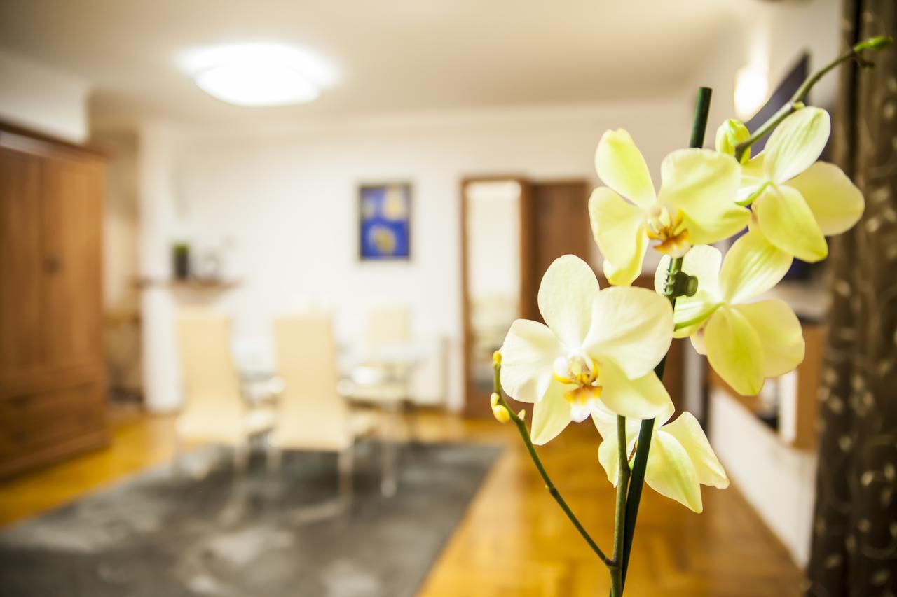 Business Class Apartment Kluž Exteriér fotografie